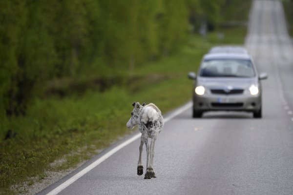 weirdest traffic laws in Finland