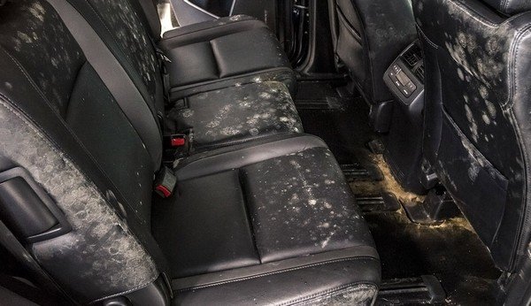 Mold inside a car