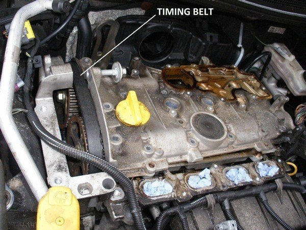 A fine timing belt installed into the gear 