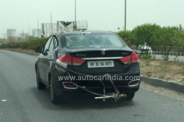 new maruti ciaz spied rear angle