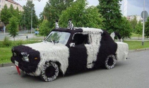 fluffy animal-like car