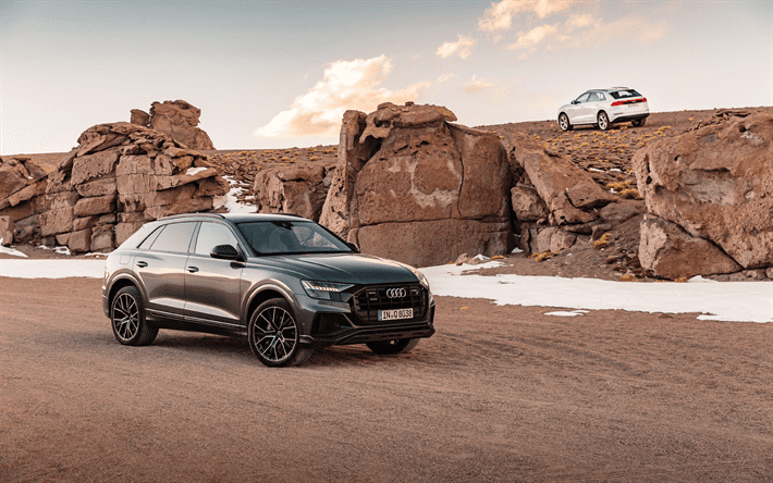 Audi Q8 is the flagship SUV of the German manufacturer and will be launched in India on January 15, 2020.