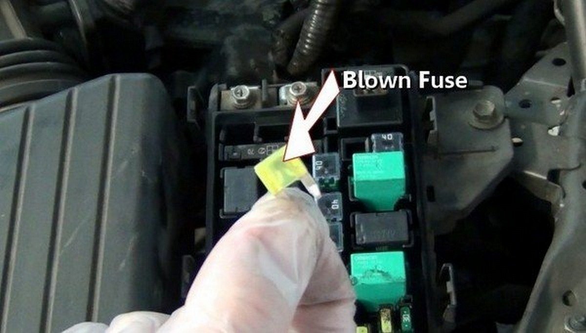 hand holding a blown fuse