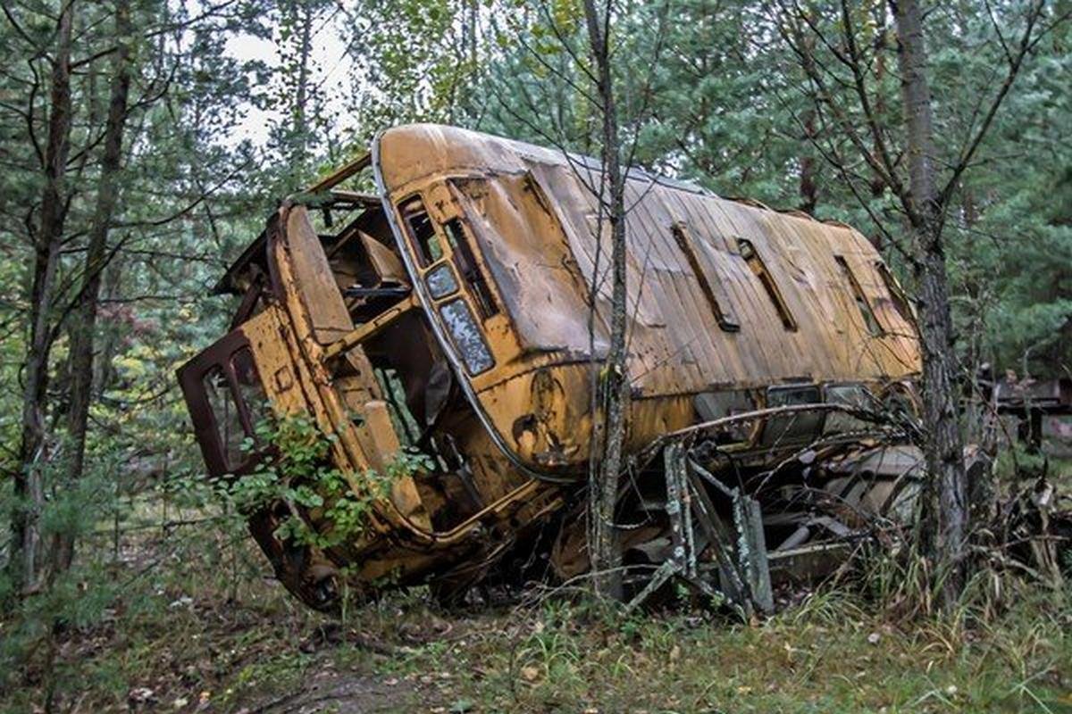 old school bus in the wood  