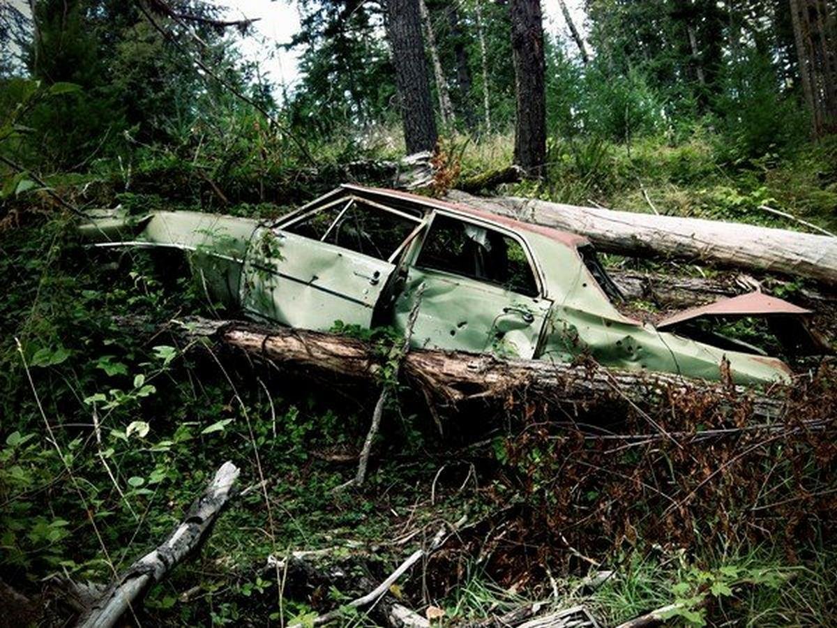 rusted car into the forest  