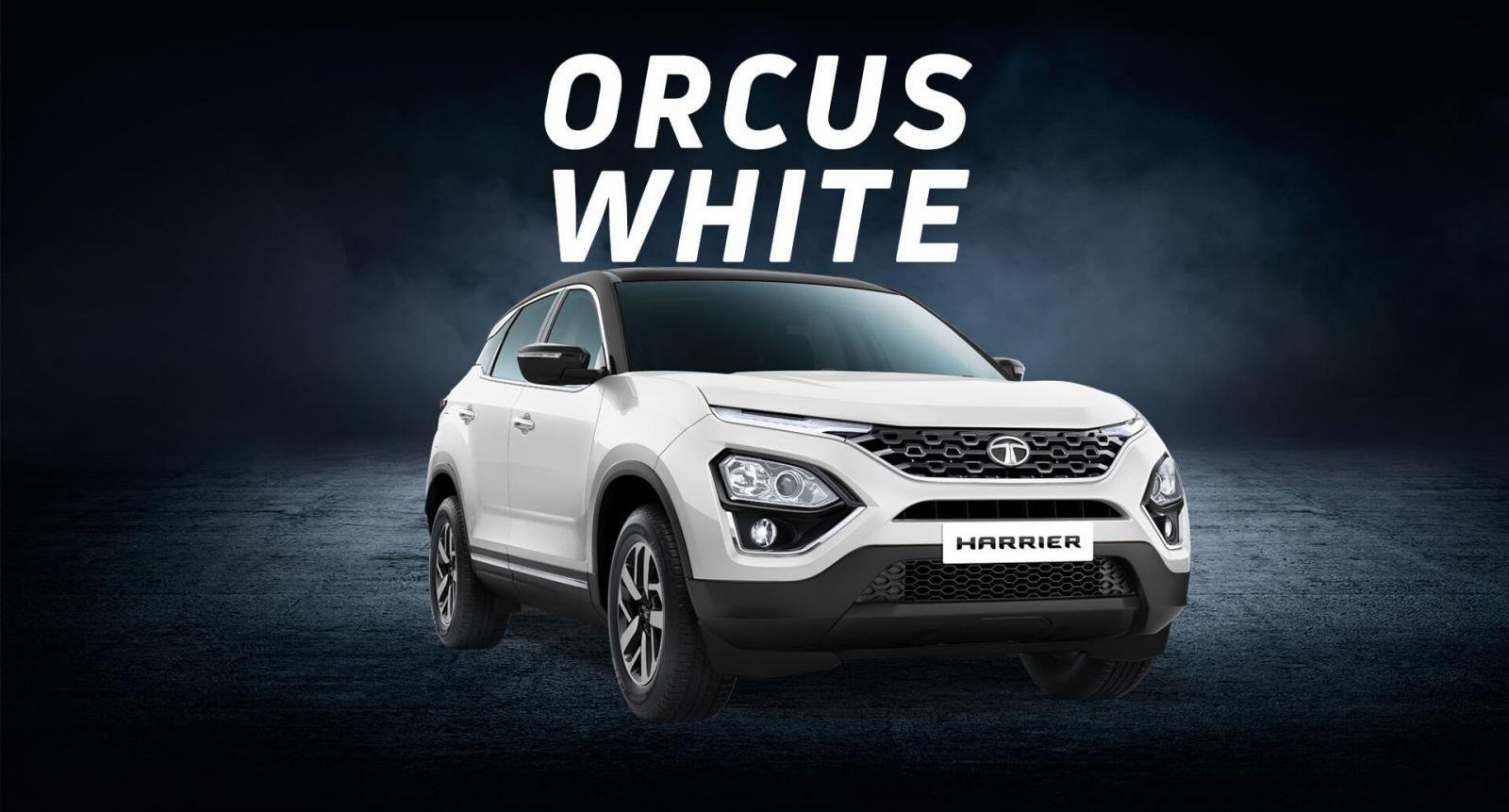 2021 Tata Harrier orcus white