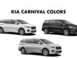 2020 Kia Carnival color option