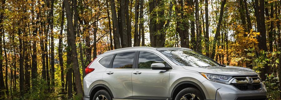 Honda CR-V 2018 trees background