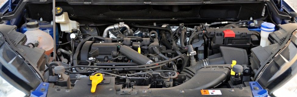 2017 Ford EcoSport petrol AT engine