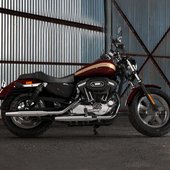 Harley Davidson 1200 Custom