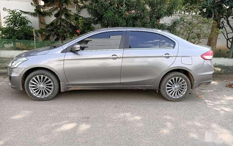 Used Maruti Suzuki Ciaz S Mt Car At Low Price In Coimbatore