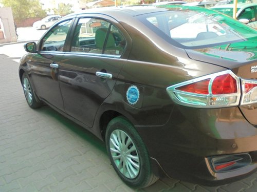 2015 Maruti Suzuki Ciaz for sale in Jaipur 