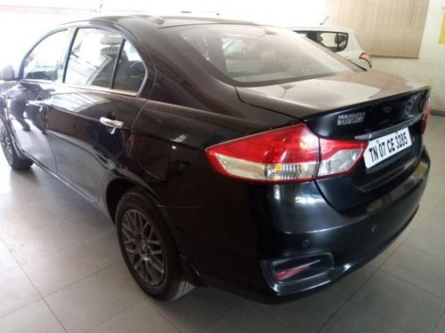 Used Maruti Suzuki Ciaz car at low price