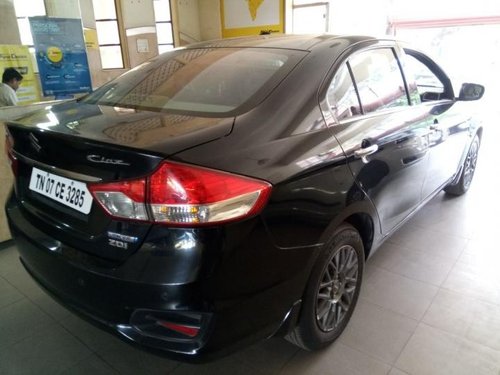 Used Maruti Suzuki Ciaz car at low price