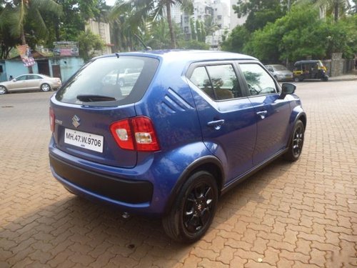 2017 Maruti Suzuki Ignis for sale