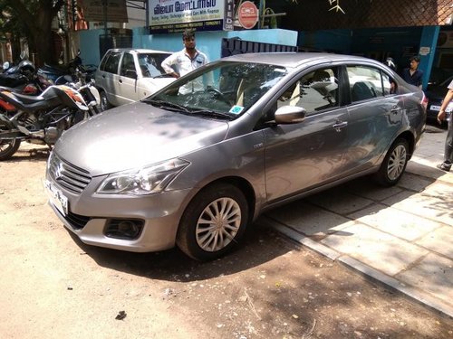 2014 Maruti Suzuki Ciaz for sale at low price