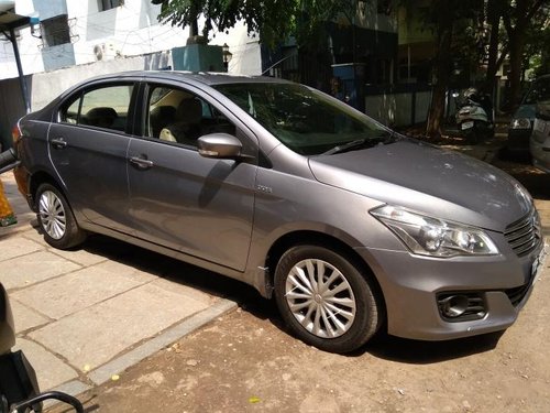 2014 Maruti Suzuki Ciaz for sale at low price