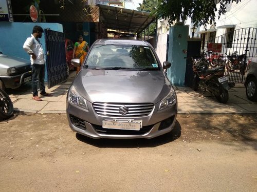 2014 Maruti Suzuki Ciaz for sale at low price