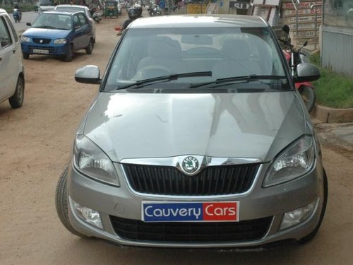 Skoda Fabia 2010-2015 2011