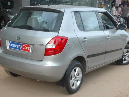 Skoda Fabia 2010-2015 2011