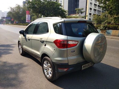 Used 2013 Ford EcoSport for sale at low price