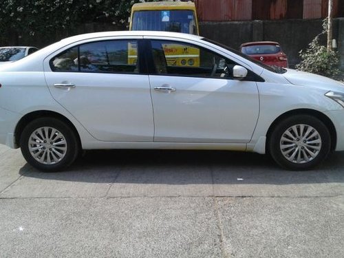 2017 Maruti Suzuki Ciaz for sale at low price