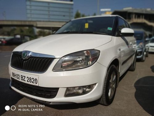 Used Skoda Fabia 2010-2015 car at low price