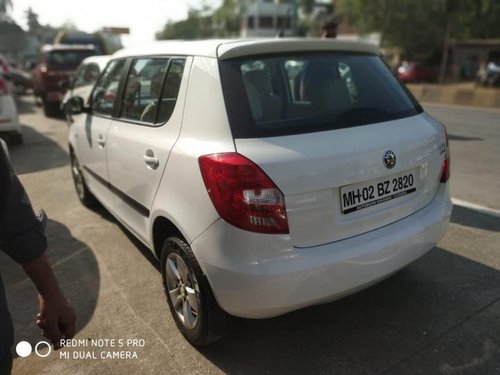 Used Skoda Fabia 2010-2015 car at low price