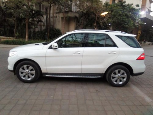 Used Mercedes Benz M Class car at low price