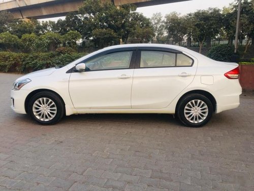 2017 Maruti Suzuki Ciaz for sale at low price