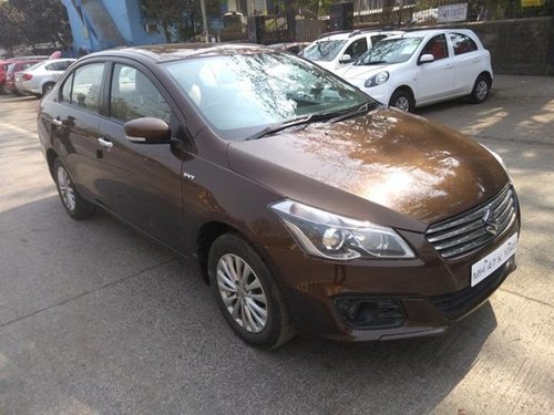 2016 Maruti Suzuki Ciaz for sale at low price