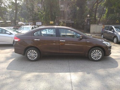 2016 Maruti Suzuki Ciaz for sale at low price