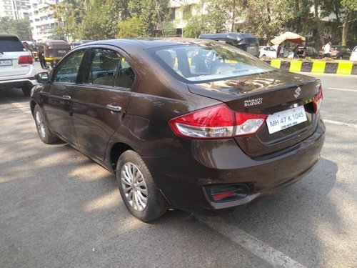 2016 Maruti Suzuki Ciaz for sale at low price