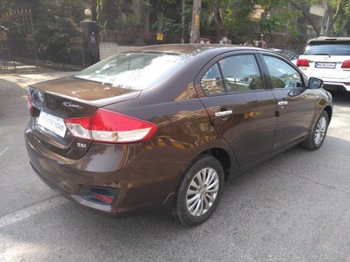 2016 Maruti Suzuki Ciaz for sale at low price