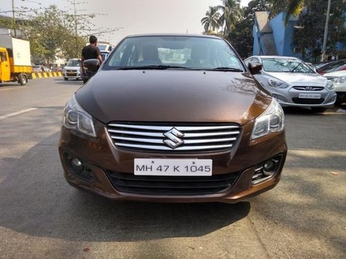 2016 Maruti Suzuki Ciaz for sale at low price