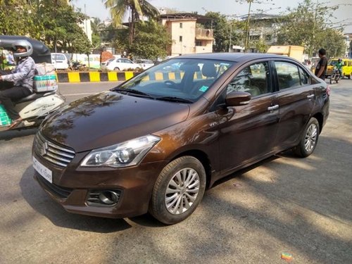 2016 Maruti Suzuki Ciaz for sale at low price