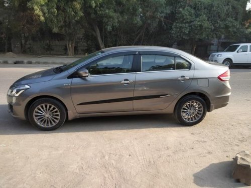 2017 Maruti Suzuki Ciaz for sale at low price