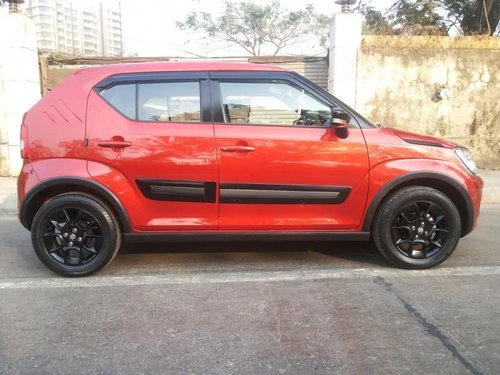 2017 Maruti Suzuki Ignis for sale