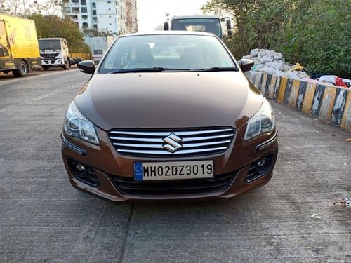 2015 Maruti Suzuki Ciaz for sale at low price