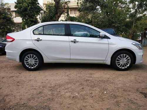 2016 Maruti Suzuki Ciaz for sale at low price