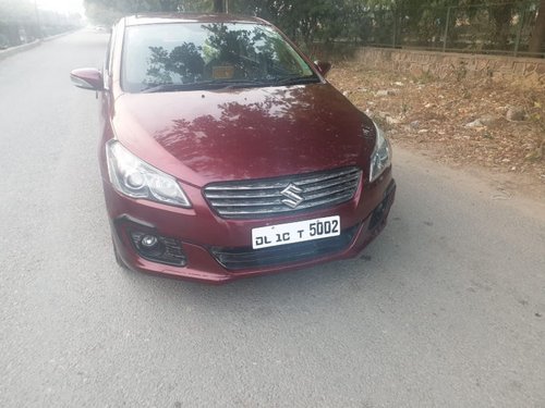 2015 Maruti Suzuki Ciaz for sale at low price