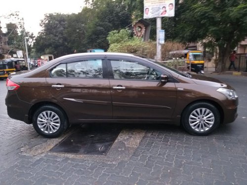 2015 Maruti Suzuki Ciaz for sale