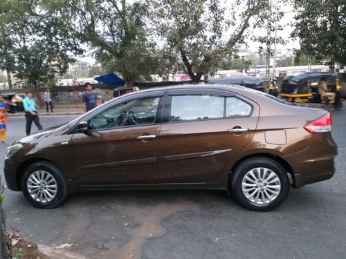 2015 Maruti Suzuki Ciaz for sale