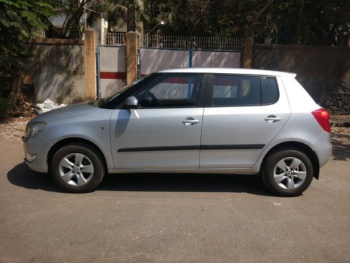 Used Skoda Fabia 2010-2015 car at low price