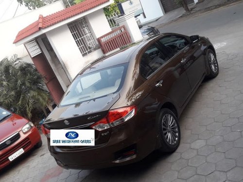 2015 Maruti Suzuki Ciaz for sale at low price