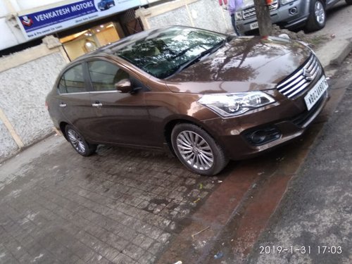 Used Maruti Suzuki Ciaz car 2017 for sale at low price