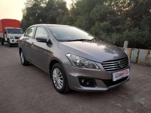 2015 Maruti Suzuki Ciaz for sale at low price