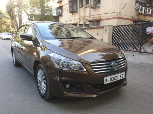 Maruti Ciaz 1.4 Zeta for sale