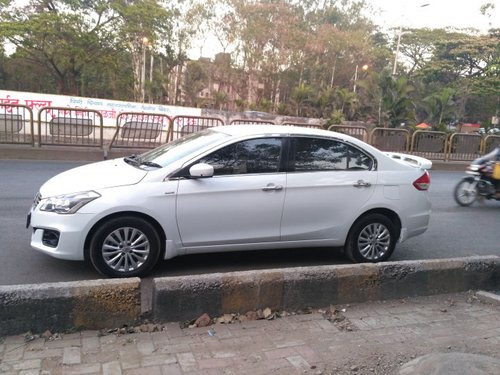 Maruti Suzuki Ciaz 2016 for sale