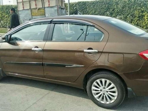 2016 Maruti Suzuki Ciaz for sale at low price